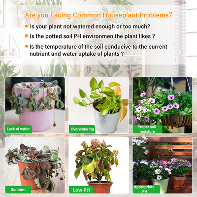 Comprehensive 6-in-1 Soil Detector: Your Ultimate Tool for Gardening & Plant Care