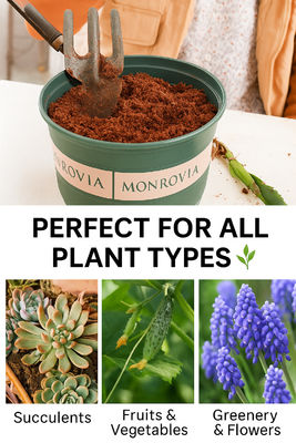 3 Liters Water Needed Grow Smarter Compressed Peat Bricks
