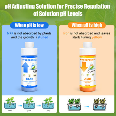 Hydroponic pH Adjustment Kit with 250mL Capacity for Optimal Plant Nutrient Absorption and Stable Formula
