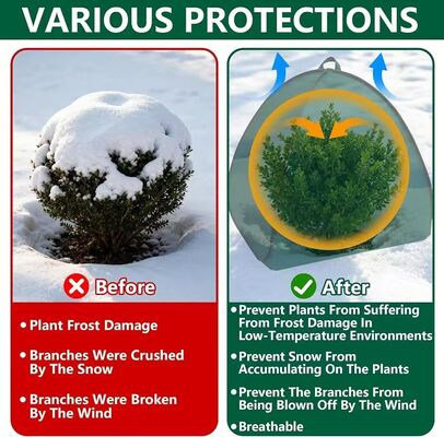 Foldable Winter Plant Protection Tent Anti Frost Wind Snow Resistant for Garden Vegetable Fruit Flower