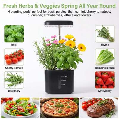 Mini 4‑Hole Hydroponic Grower Soilless Indoor Vegetable Planter